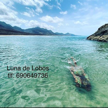 Luna De Lobos 코라레호 외부 사진