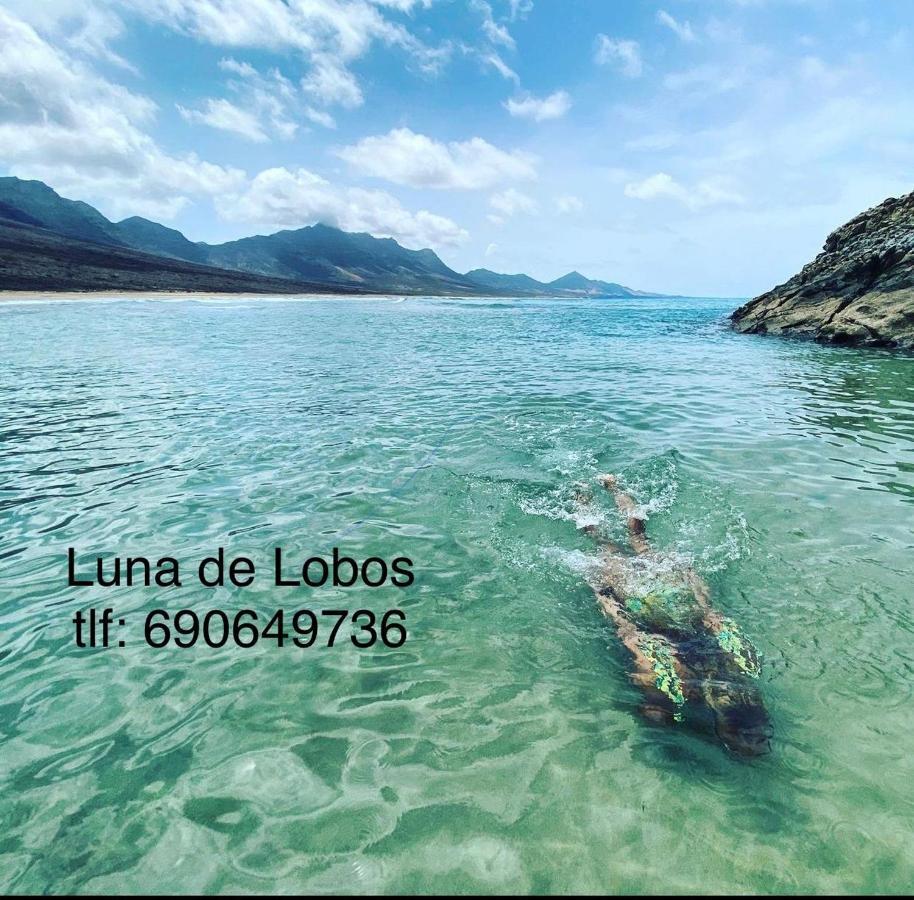 Luna De Lobos 코라레호 외부 사진